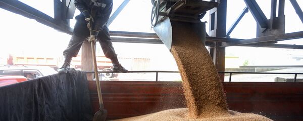 Рабочий насыпает пшеницу в грузовик, архивное фото Рабочий насыпает пшеницу в грузовик, архивное фото - Sputnik Казахстан