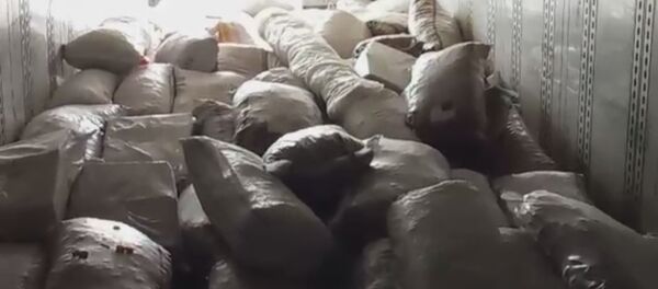 Груз из Кыргызстана не прошел фитосанитарный контроль на границе с Казахстаном Груз из Кыргызстана не прошел фитосанитарный контроль на границе с Казахстаном - Sputnik Казахстан