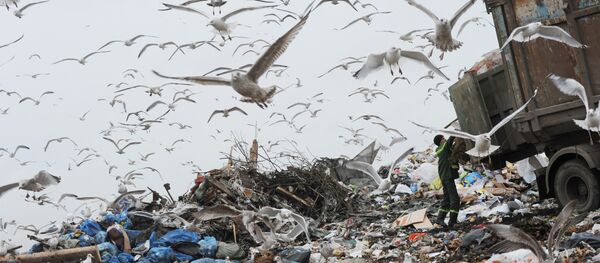 Қоқыс, архивтегі фото Қоқыс, архивтегі фото - Sputnik Қазақстан