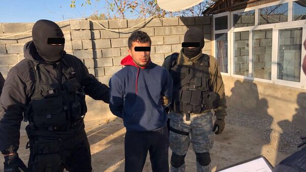 По подозрению в пропаганде терроризма задержаны 11 жителей Шымкента и Сайрамского района ЮКО - Sputnik Казахстан
