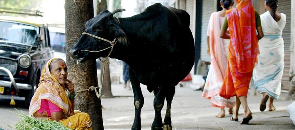 Индия, архивное фото - Sputnik Казахстан