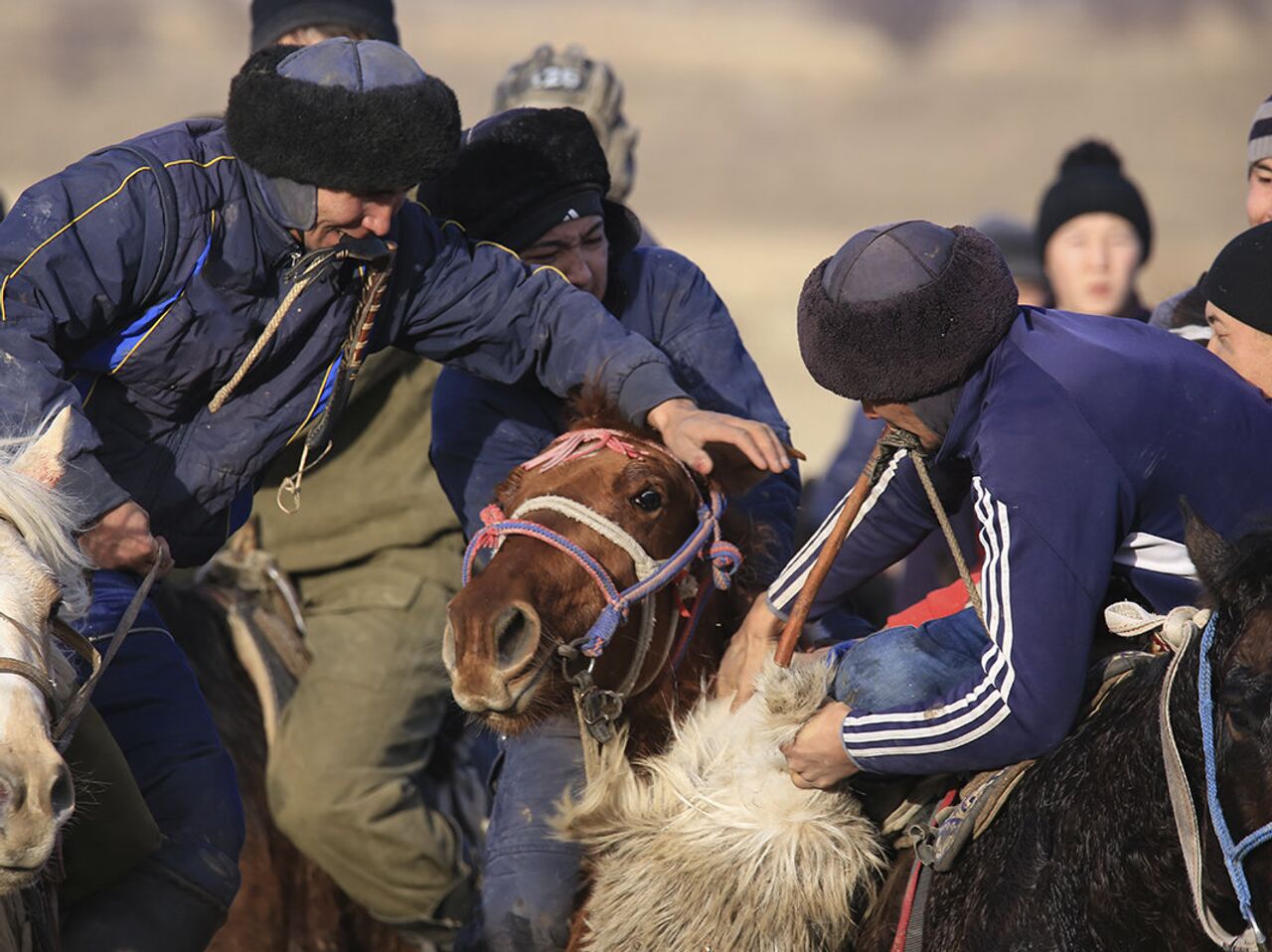 Құлпынай ұрығы