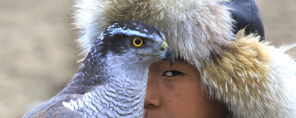 Соревнования беркутчи - Sputnik Казахстан