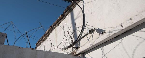 Колония, архивтегі сурет - Sputnik Қазақстан