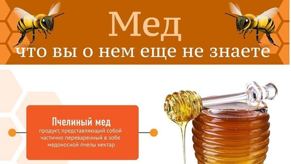 Что вы не знали о мёде? - Sputnik Казахстан