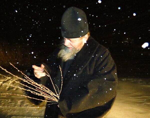 В Петропавловске в ночь на четвертое декабря распустились вербы - Sputnik Казахстан