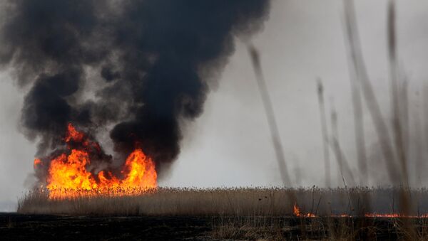 Тушение степных пожаров, архивное фото - Sputnik Казахстан