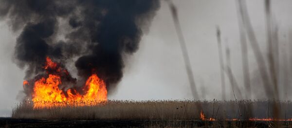 Тушение пожаров Тушение пожаров - Sputnik Казахстан