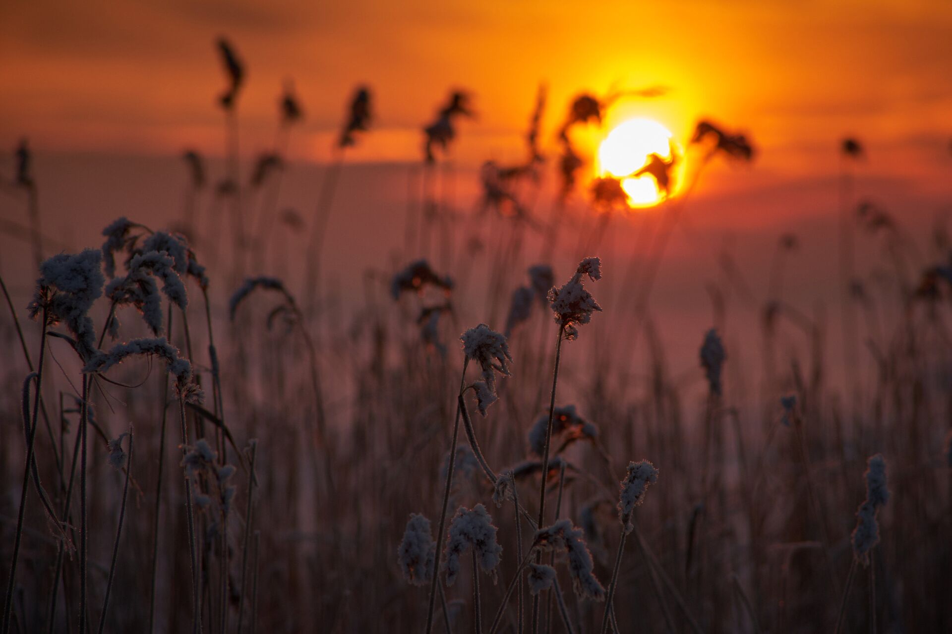 Зимний закат Зимний закат - Sputnik Казахстан, 1920, 20.12.2025