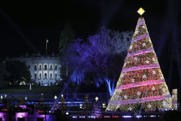 Новогодняя елка в Вашингтоне - Sputnik Казахстан