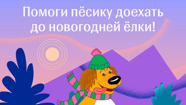 Помоги пёсику доехать до новогодней ёлки - Sputnik Казахстан