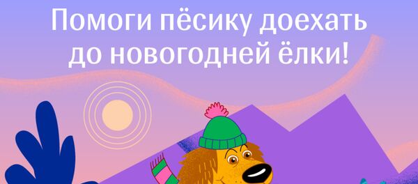 Помоги пёсику доехать до новогодней ёлки - Sputnik Казахстан