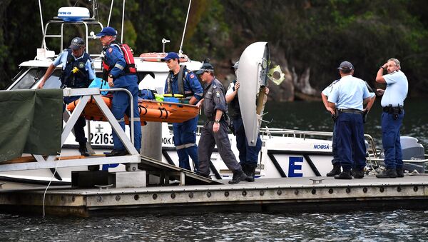 Полицейские на месте падения самолета в реку Хоксбери в Австралии - Sputnik Казахстан