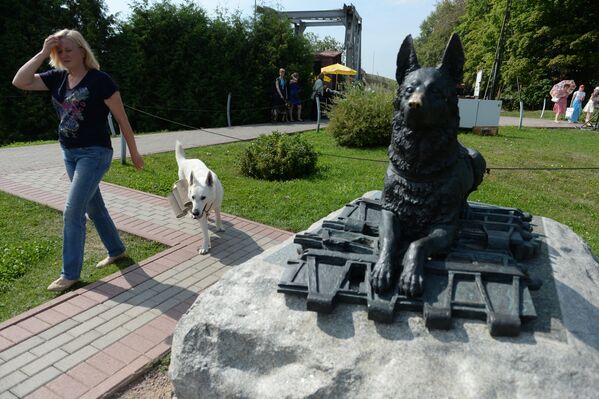 День памяти фронтовой собаки - Sputnik Казахстан