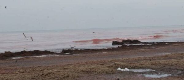 Окрашенное в красный цвет море в Актау - Sputnik Казахстан