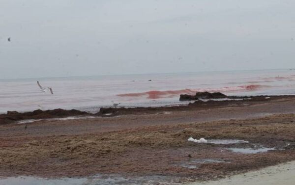 Окрашенное в красный цвет море в Актау - Sputnik Казахстан