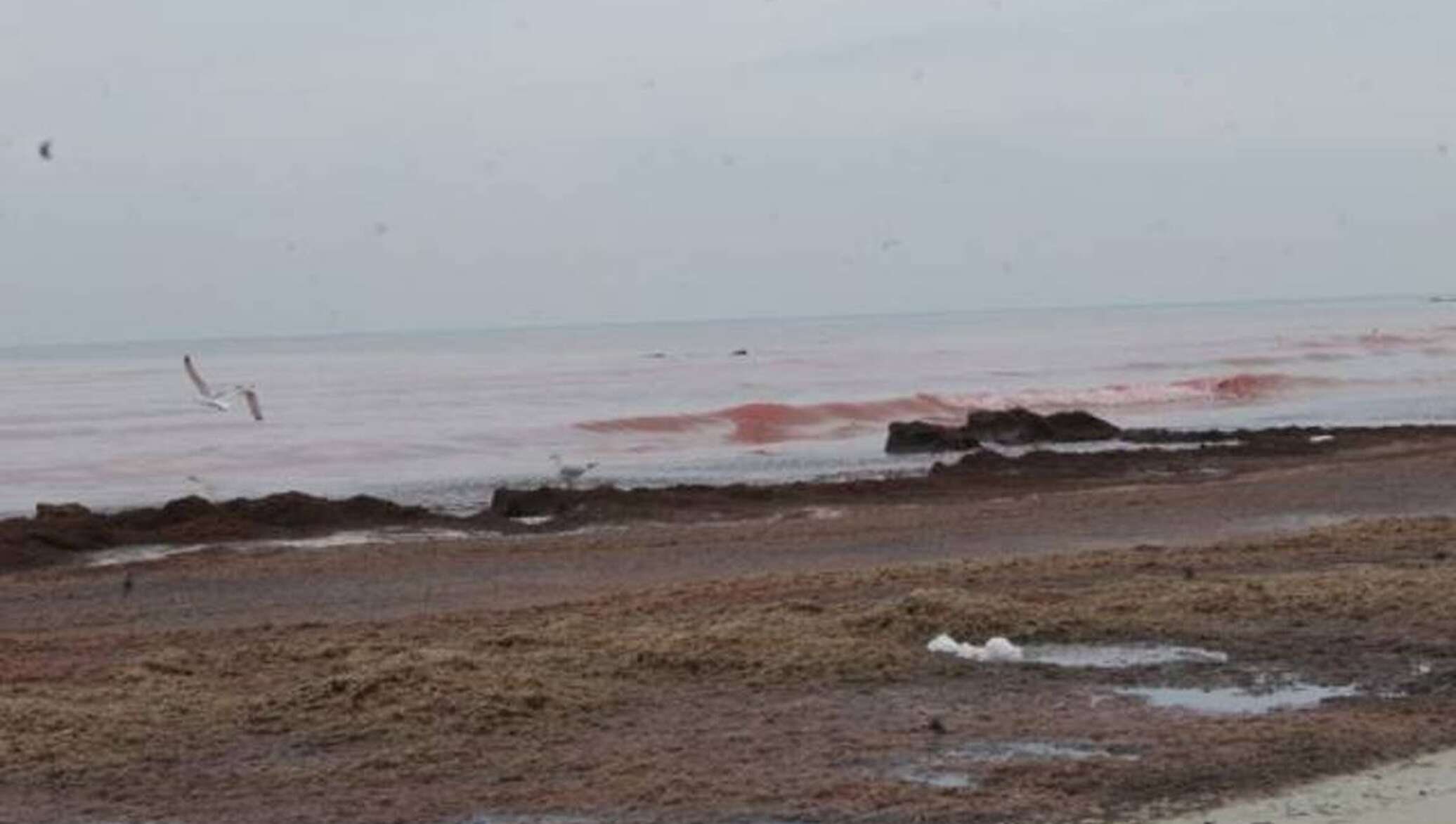 Вода в каспийском море в мае