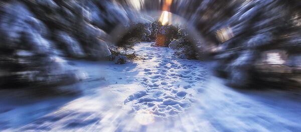 Геометрия природы - Sputnik Казахстан