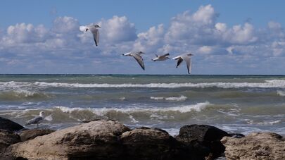 Каспийское море