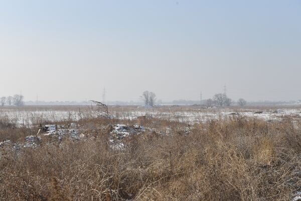 Пустырь на месте инвестиционного проекта Гейт Сити в Алматинской области - Sputnik Казахстан