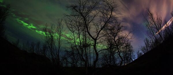 Түн, архивтегі фото - Sputnik Қазақстан