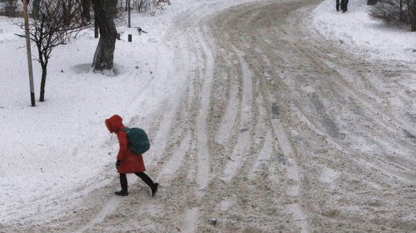 Школьница с рюкзаком идет по зимней дороге, архивное фото - Sputnik Казахстан