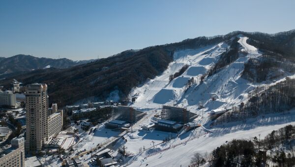 Общий вид на снежный парк в Пхенчхане, где пройдут соревнования по фристайлу и сноуборду - Sputnik Казахстан