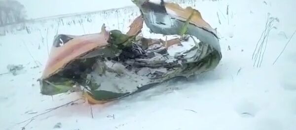 Видео с места падения пассажирского самолета Ан-148 в Подмосковье Видео с места падения пассажирского самолета Ан-148 в Подмосковье - Sputnik Казахстан