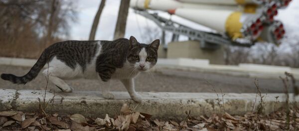 Город Байконур Город Байконур - Sputnik Казахстан