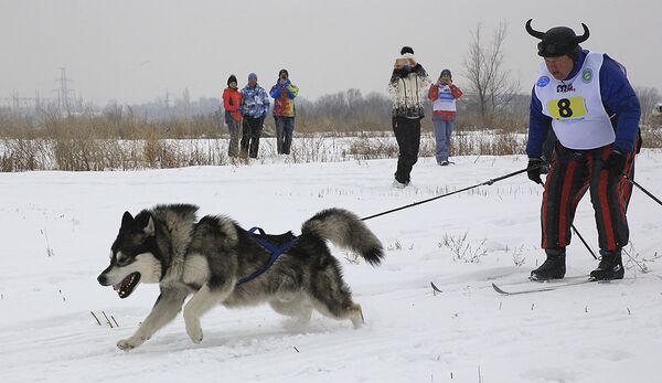 Собачьи бега в Алматы - Sputnik Казахстан