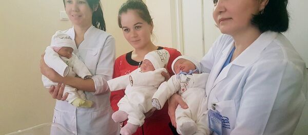 Оңтүстік Қазақстан облысында үшем дүниеге келді - Sputnik Қазақстан