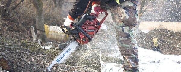 Вырубка деревьев Вырубка деревьев - Sputnik Казахстан