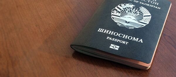 Заграничный биометрический паспорт гражданина РТ, архивно фото - Sputnik Казахстан