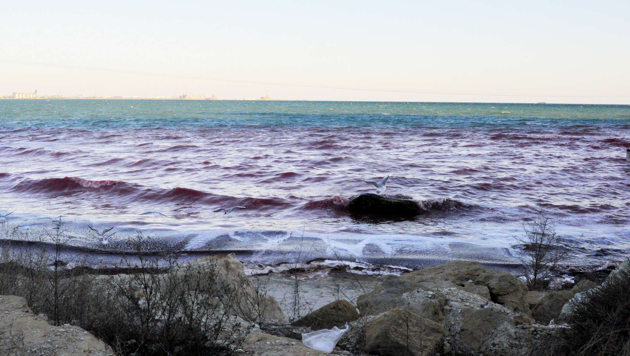 Вода в каспийском море в мае