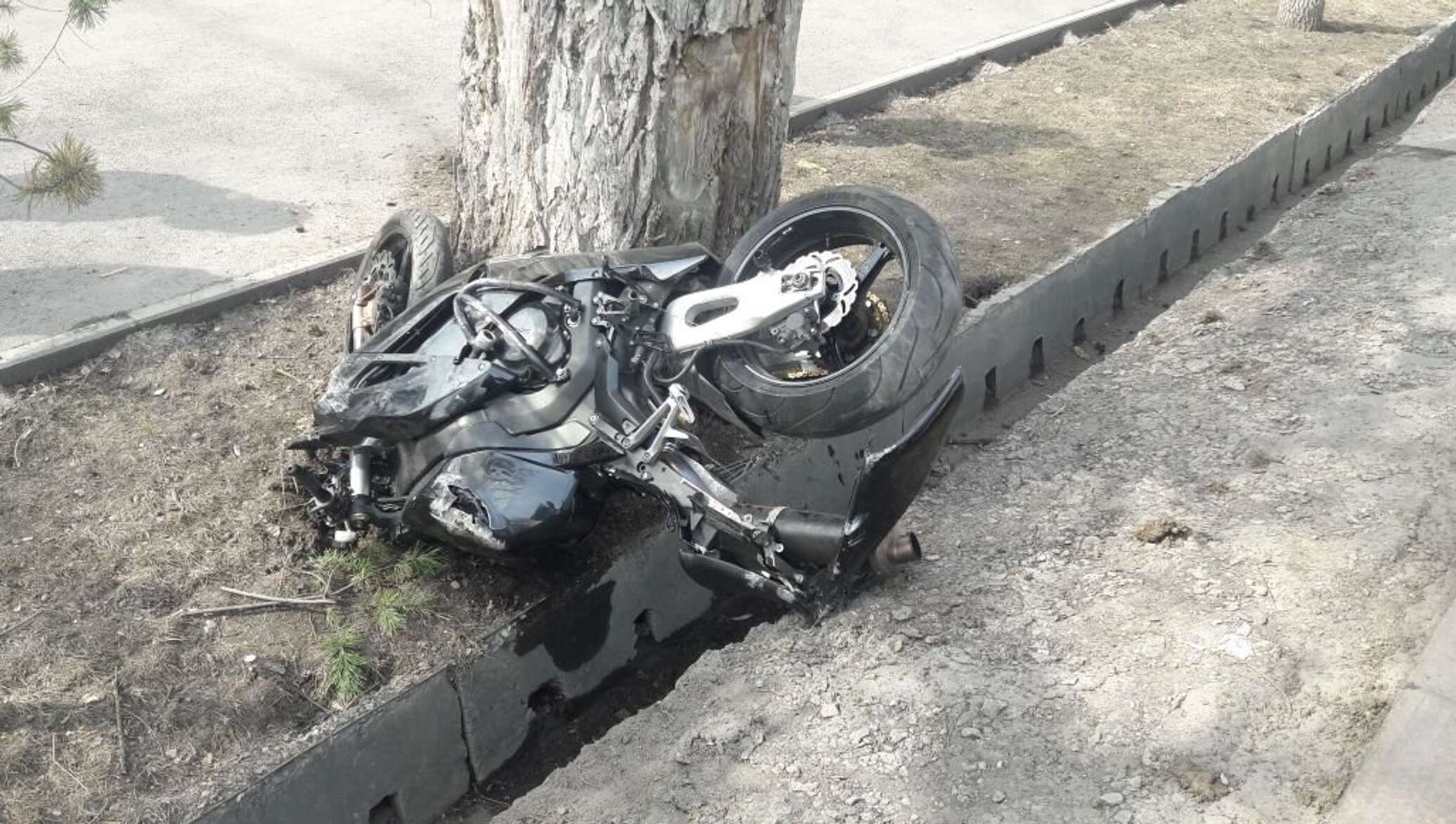 Авария на мотоцикле в дерево