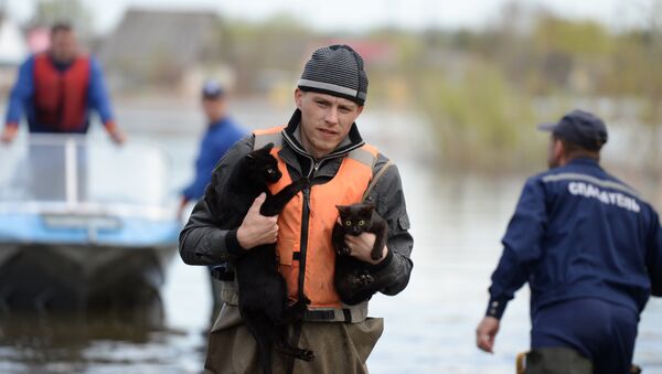 Спасатели во время паводка, архивное фото - Sputnik Казахстан