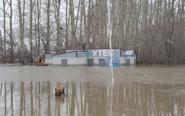 Талая вода в Шемонаихинском районе ВКО - Sputnik Казахстан