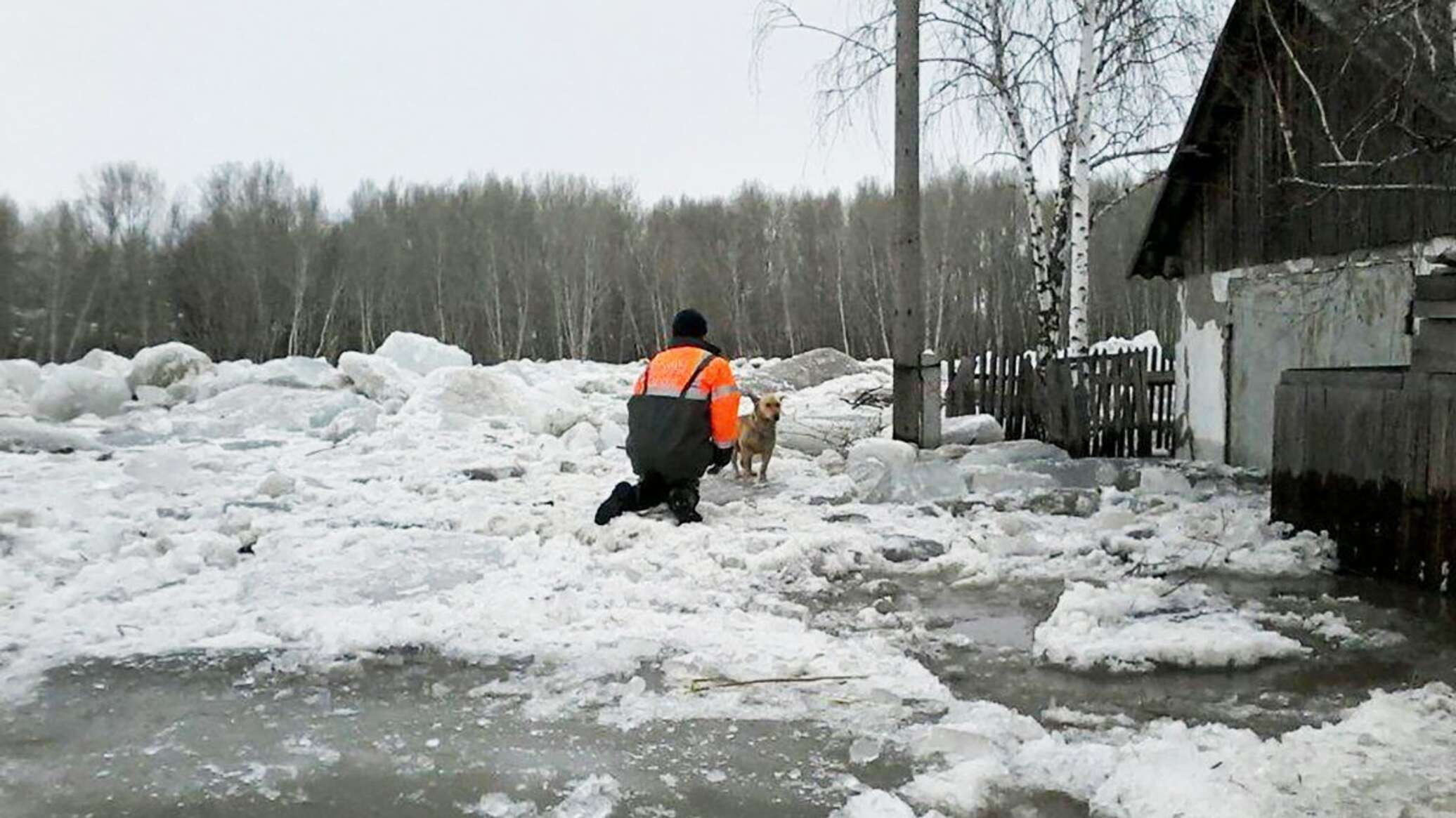 Снегодождевые паводки.