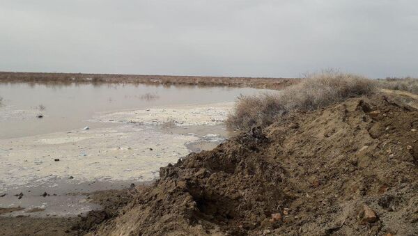 Поднятие уровня воды на реке Сырдарья - Sputnik Казахстан