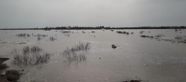 Өзен, архивтегі сурет - Sputnik Қазақстан