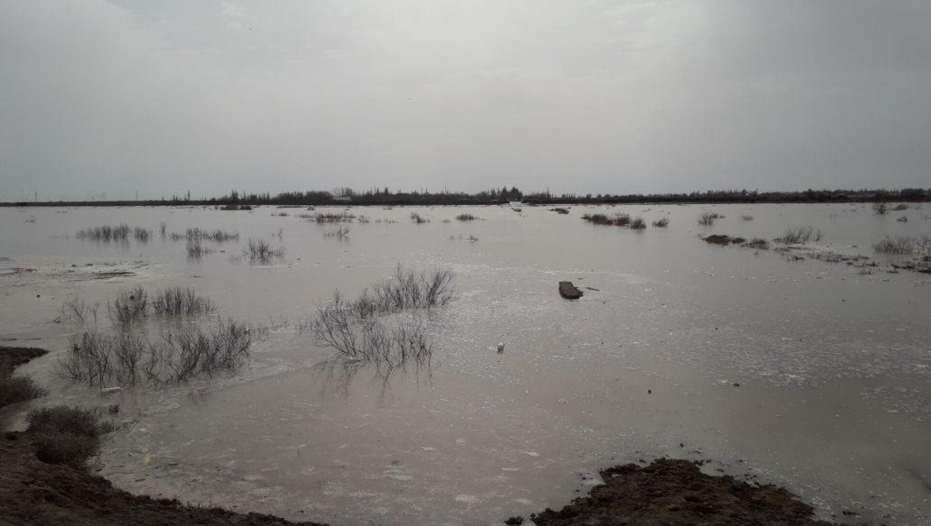 Поднятие уровня воды на реке Сырдарья - Sputnik Қазақстан, 1920, 23.02.2021