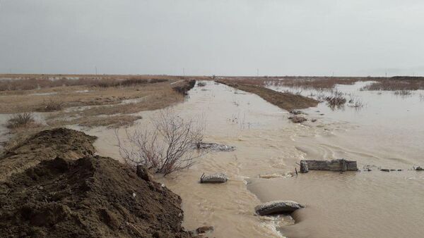 Поднятие уровня воды на реке Сырдарья - Sputnik Казахстан