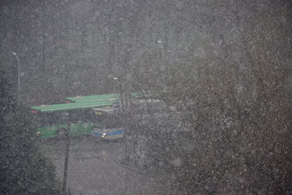 Снег в Алматы - Sputnik Казахстан