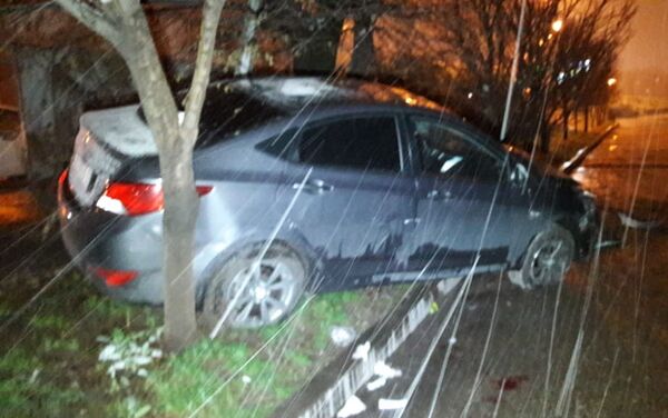 Автомобиль врезался в дерево - Sputnik Казахстан