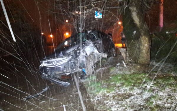 Автомобиль врезался в дерево - Sputnik Казахстан