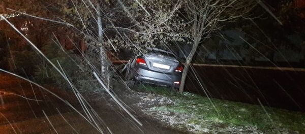 Алматыда жеңіл көлік бағананы құлатып, ағашқа соғылды Алматыда жеңіл көлік бағананы құлатып, ағашқа соғылды - Sputnik Қазақстан