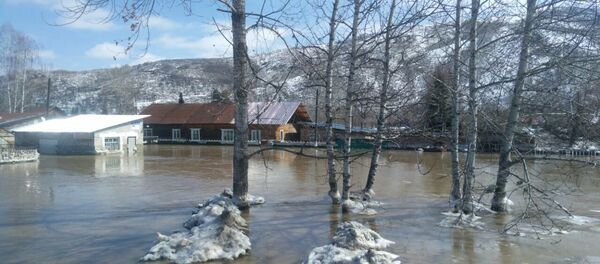 Река Старушка не справилась с огромным потоком талых вод, поэтому вода стала переливаться через русло, минуя обводной канал Река Старушка не справилась с огромным потоком талых вод, поэтому вода стала переливаться через русло, минуя обводной канал - Sputnik Казахстан