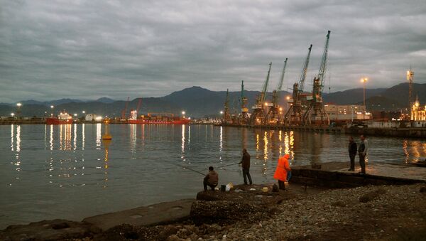 Морской порт в Батуми - Sputnik Казахстан