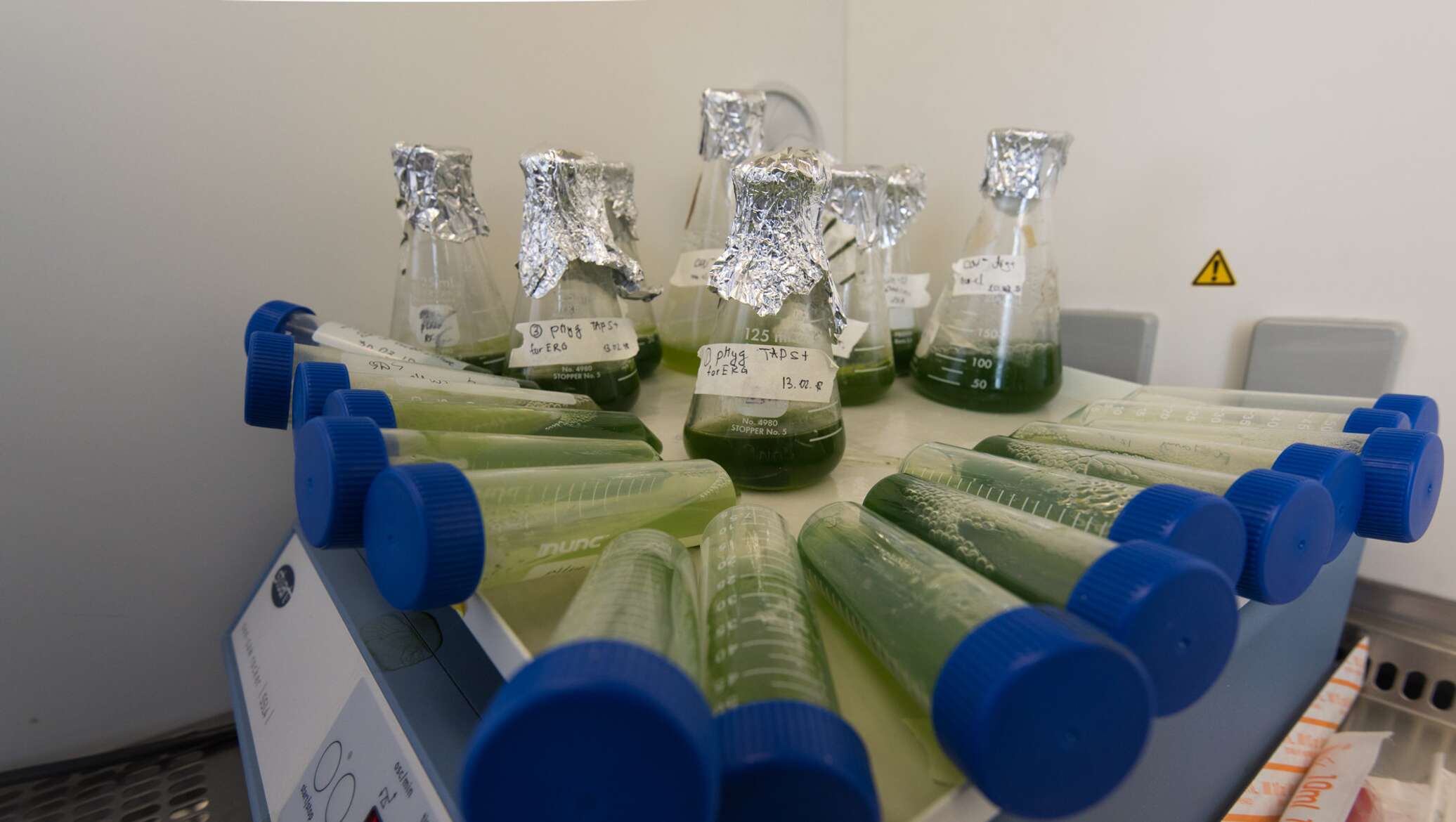 Экспертиза вакцин. Зао биокад. Эфлейра. Испытание российского препарата. Испытание российского препарата.