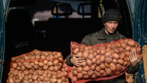 Мужчина несет мешок с картошкой - Sputnik Казахстан